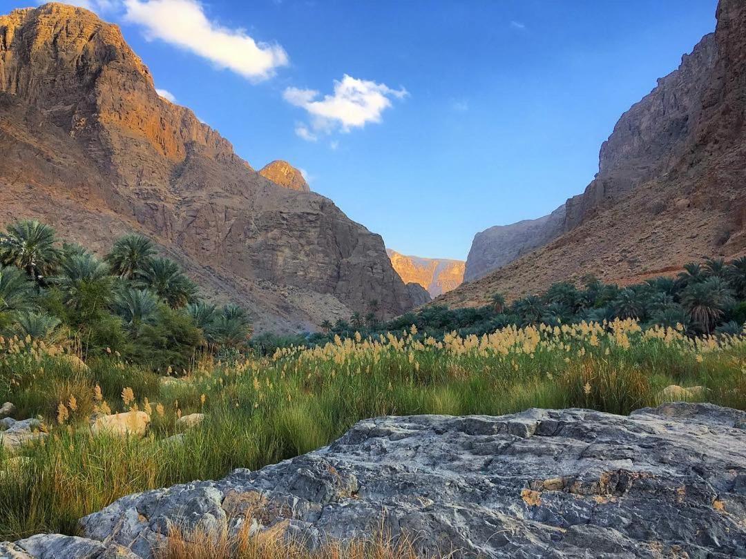 Wadi Al Arbeieen Resort Firq Bagian luar foto