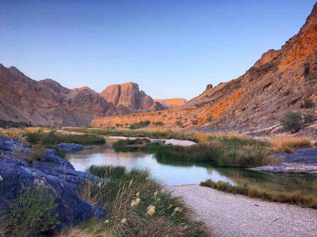 Wadi Al Arbeieen Resort Firq Bagian luar foto