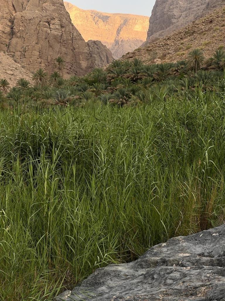 Wadi Al Arbeieen Resort Firq Bagian luar foto