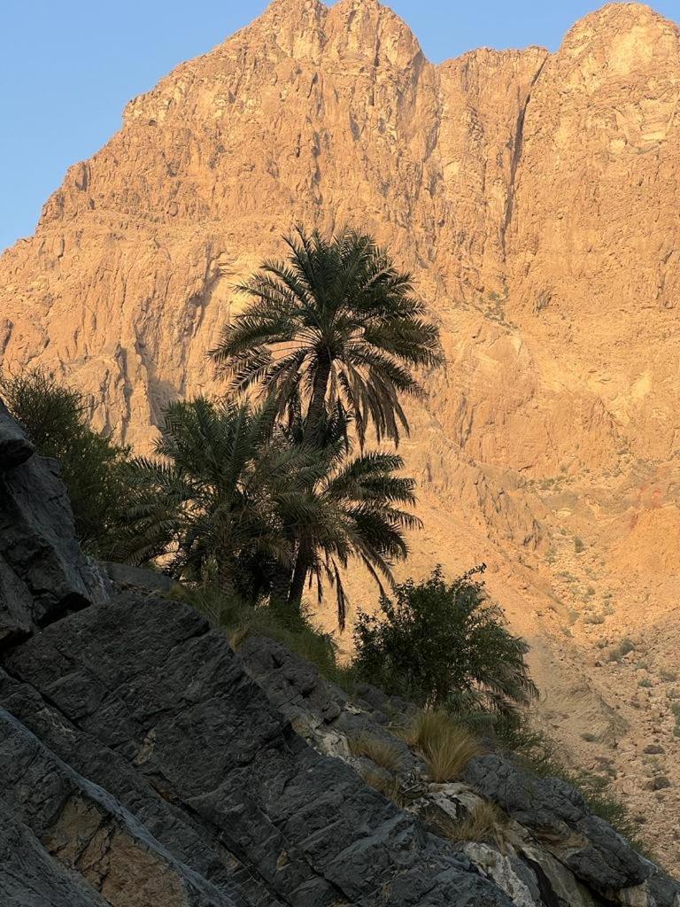 Wadi Al Arbeieen Resort Firq Bagian luar foto